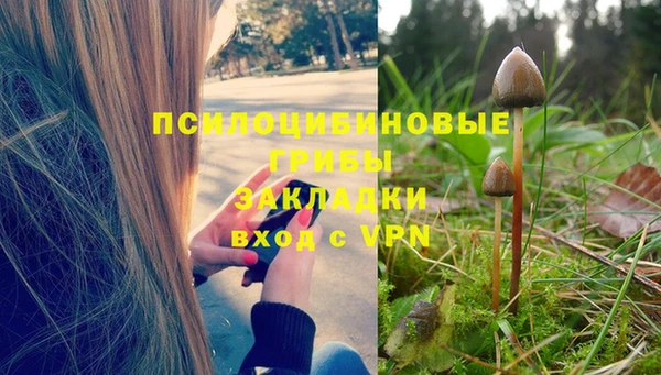 МДМА Новозыбков